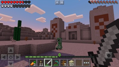 Minecraft Pocket Edition Screenshot 2