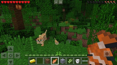Minecraft Pocket Edition Screenshot 4