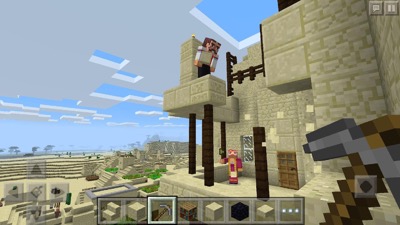 Minecraft Pocket Edition Screenshot 5